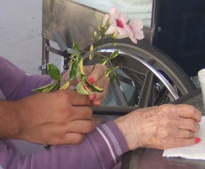 Gardening at Lincoln Glen Manor